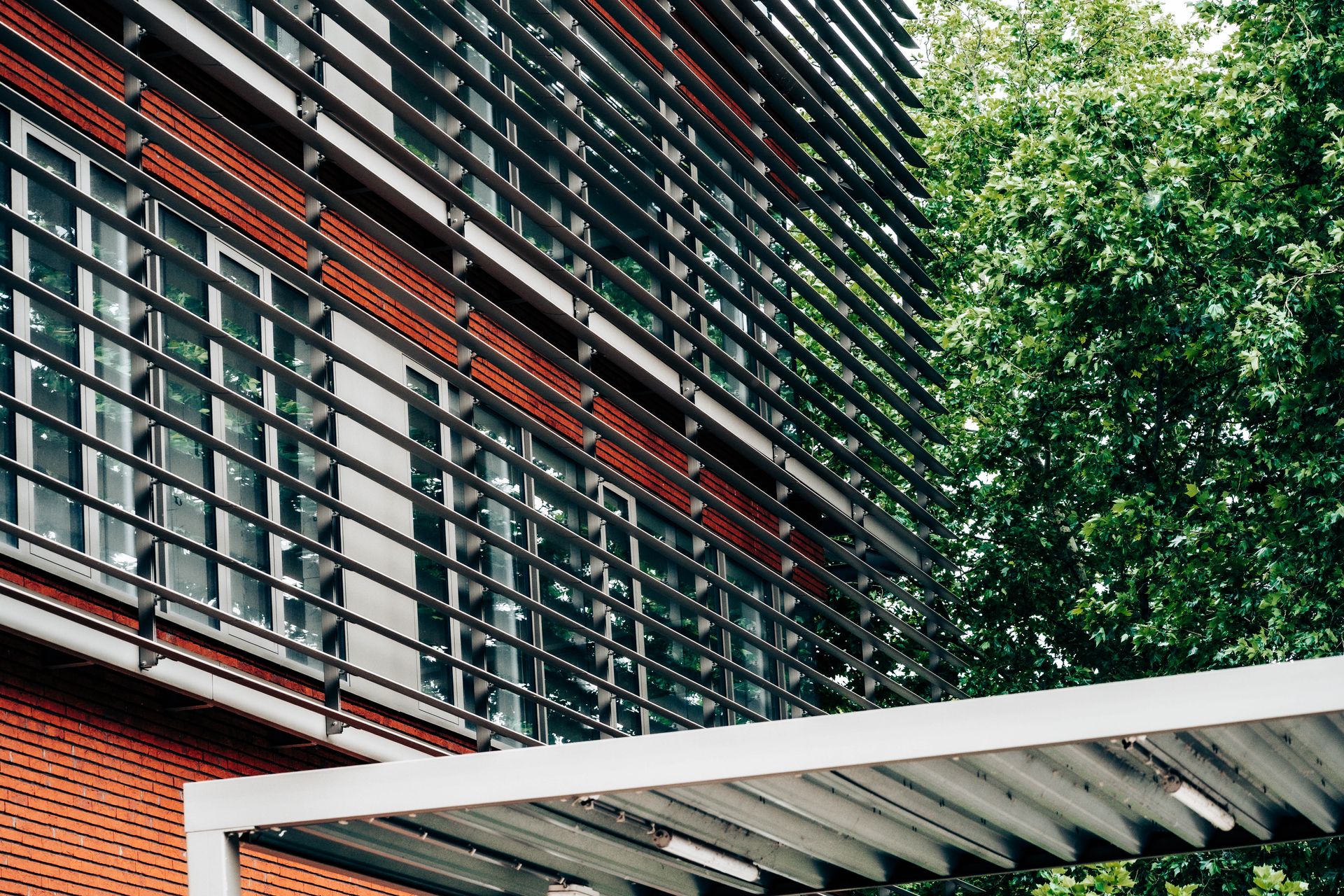 Vue détaillée en contre-plongée sur les fenêtres