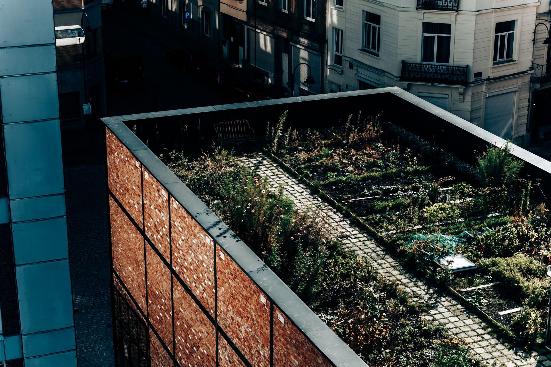 Parc Urbain Bruxelles